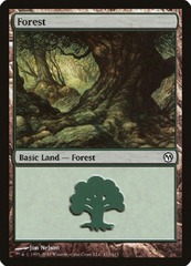 Forest (113/113)